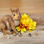 What is the story of the Easter Bunny?