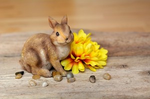 What is the story of the Easter Bunny?