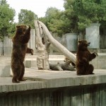 The most beautiful Zoos in Romania