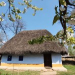 In search of the rural charm… in the Capital City