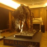 Museums at Night, May 16th 2015