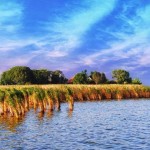 Summer dream: Ovidiu Island