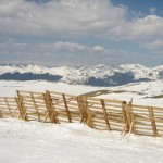 World Snow Day 2015 in Sinaia