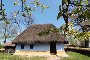 In search of the rural charm… in the Capital City