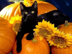 Halloween traditions around the Globe