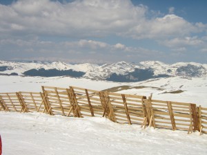 World Snow Day 2015 in Sinaia